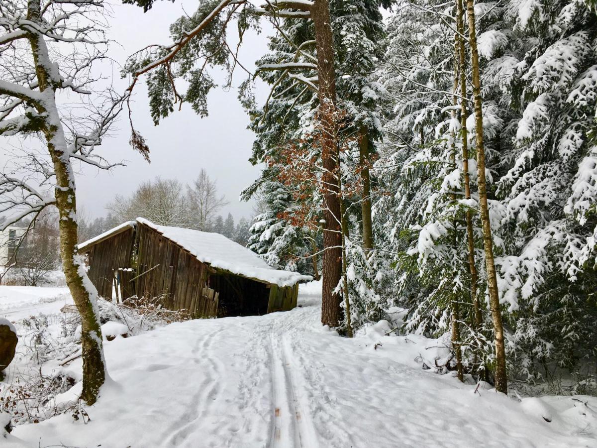 Haus am Kurpark Hotel Schomberg Bagian luar foto